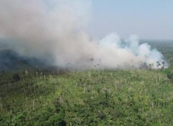 Presedintele Braziliei acuzat de catastrofa din Amazon - Partea a II-a